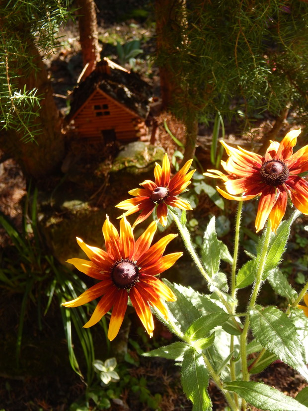 ...a dobrzy obserwatorzy wypatrzą też jeszcze jedną chatkę....Może z czasem się ktoś skusi by w niej zamieszkać...