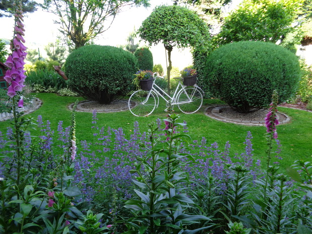 A zieleń mnie  uspokaja i działa pozytywnie na nasz organizm a to wszystko wokół takiej pięknej kwitnącej kocimiętki