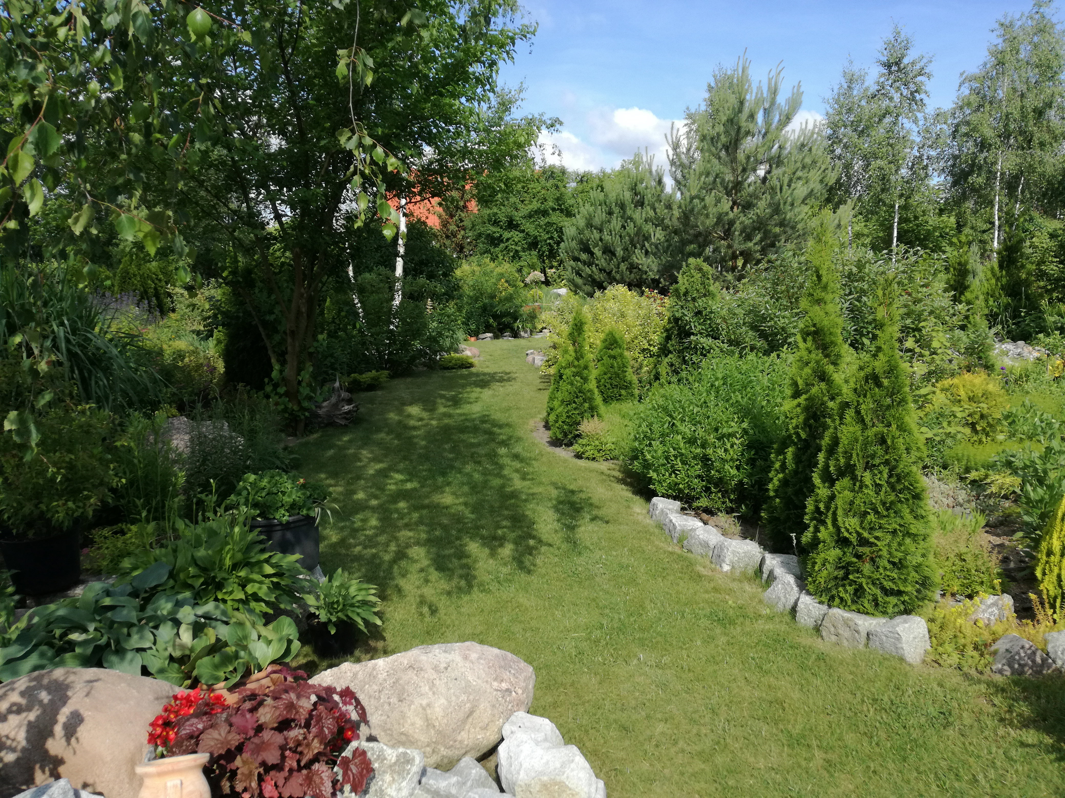 Alejka do oczka wodnego