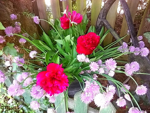 Bukiet z piwonii i kwiatów szczypiorku.