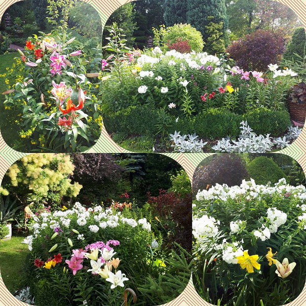 Dzień bez oglądania tej rabaty to dzień stracony.