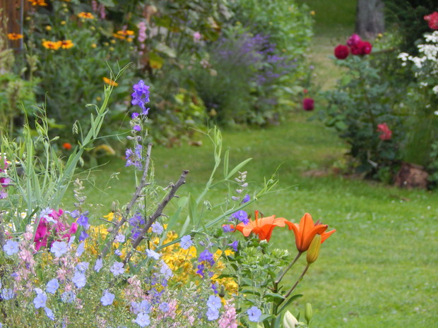 Foto spod studni w kierunku ścieżki pod domem..