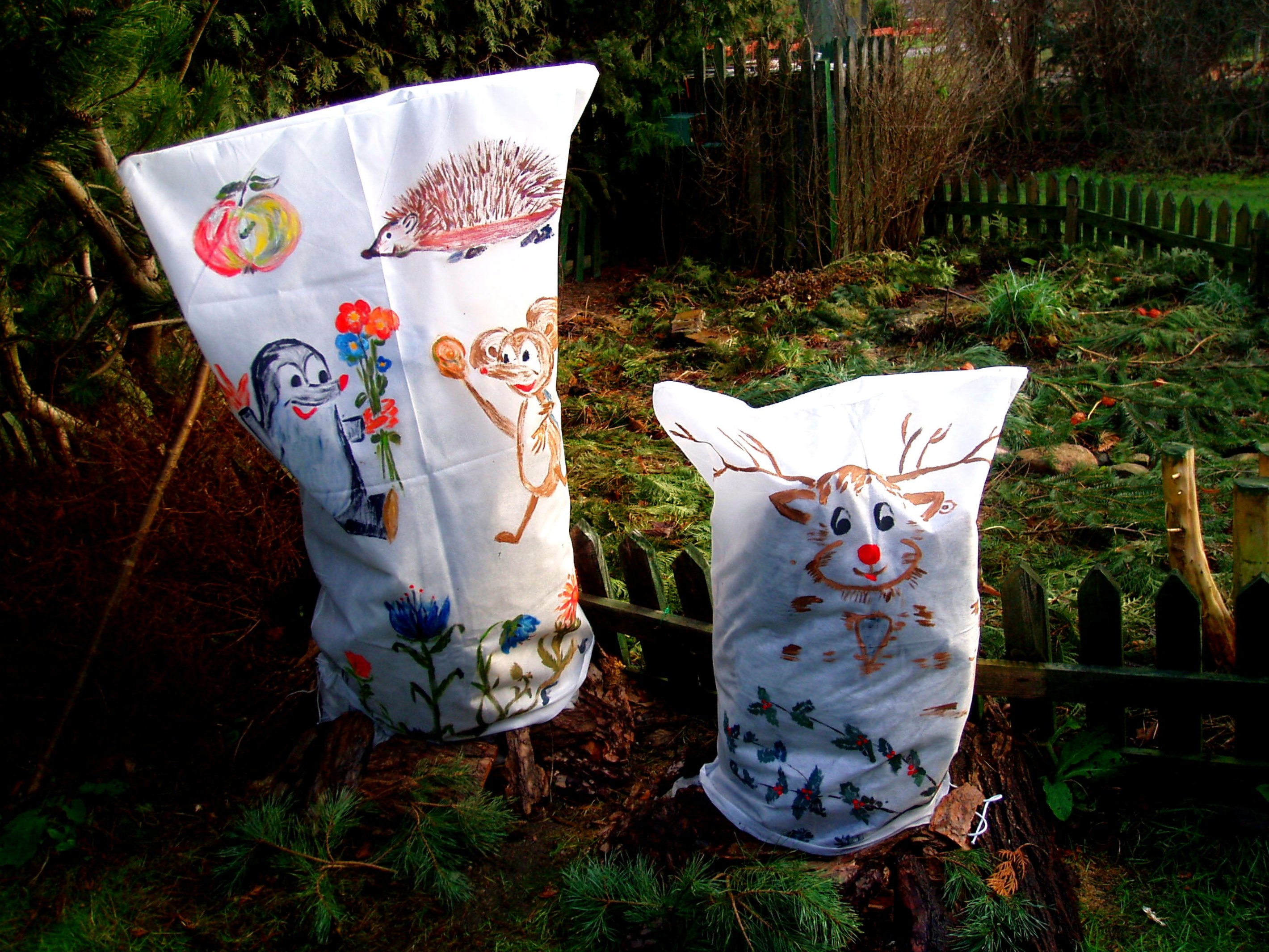 Hortensje w kolorowych, zimowych kubraczkach