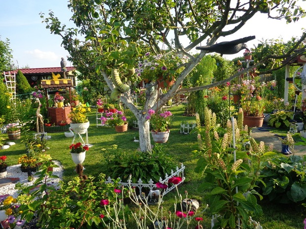 i dalej moja działeczka