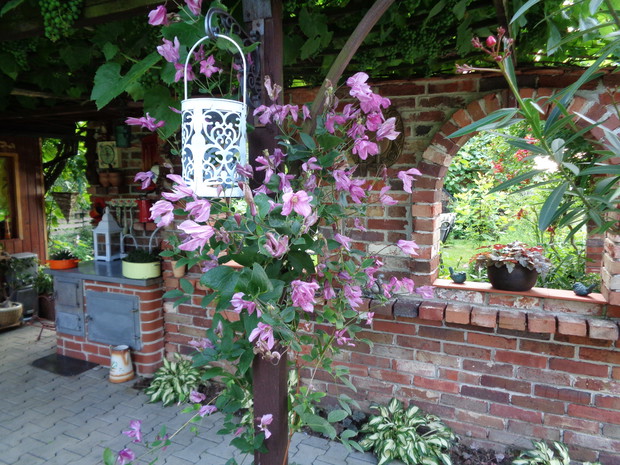 Inspiracja ogrodową przy naszej altance - kuchni ogrodowej z piecem oraz grillowędzarnikiem 