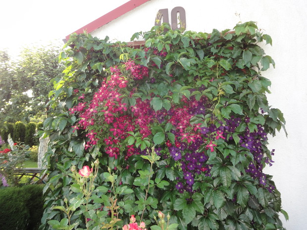 Jedna ze ścian naszego domku na działce