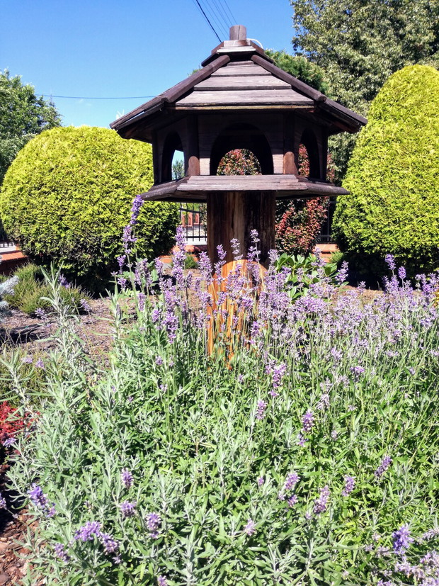 Karmnik dla ptaszków