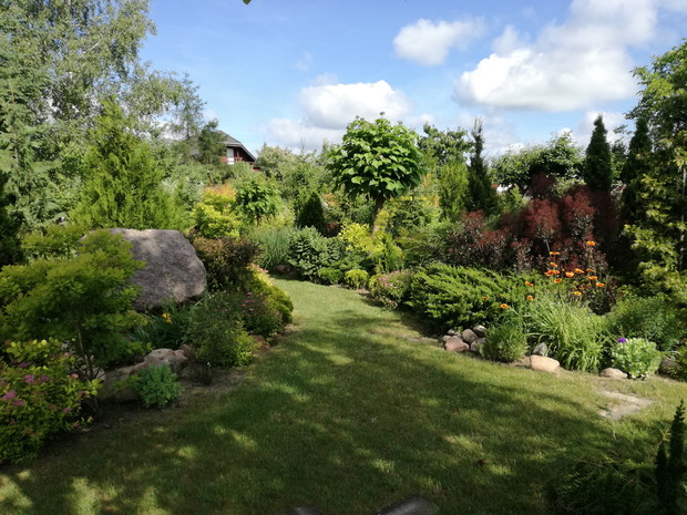 kolejna ze ścieżek 