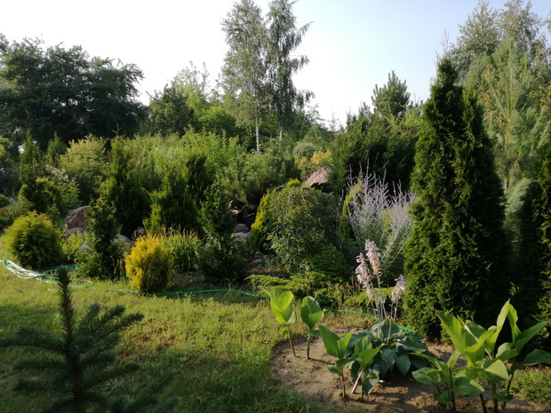 Kolejne miejsce z roślinami