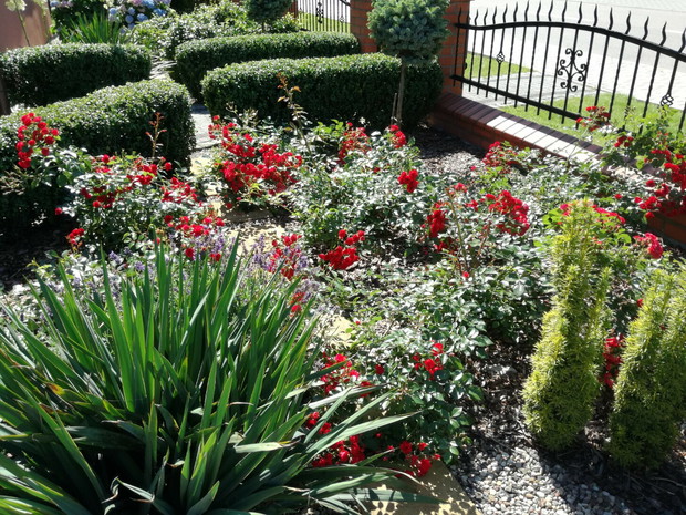 Kolorowe wejście na posesje