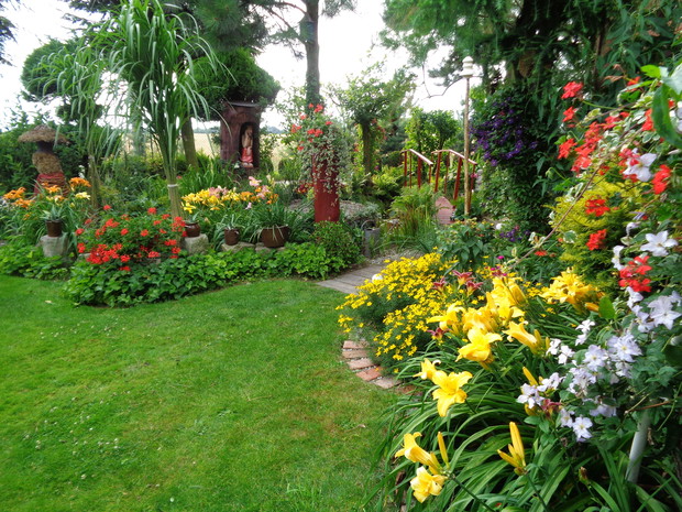 Lipiec najpiękniejszy czas dla liliowców, kwitnące we wszystkich kolorach tęczy cieszy oko i serducho się raduje 