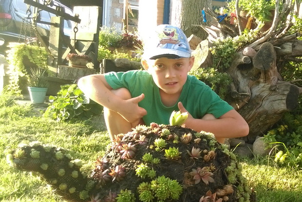 Marcinek i żółw Grześ.