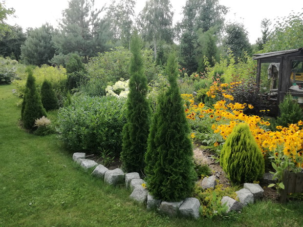 miejsce kolorowe i pachnące