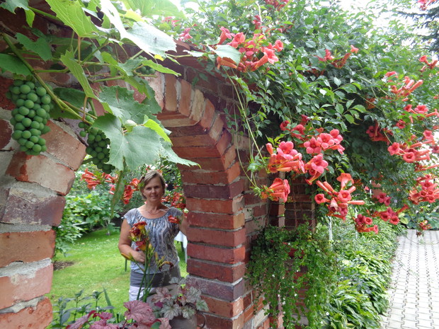  Mimo że od posadzenia rośliny upłynęło kilka lat, warto było czekać na kwitnienie pozdrawia z ogrodu Grazia 