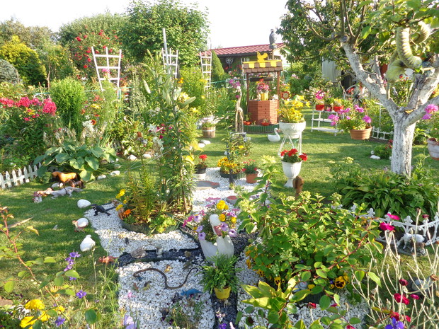 moja piękna działeczka