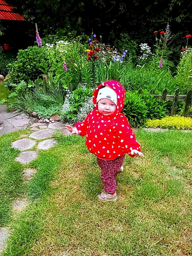 Moja wnusia pięknie komponuje się z tłem czerwcowej rabaty.