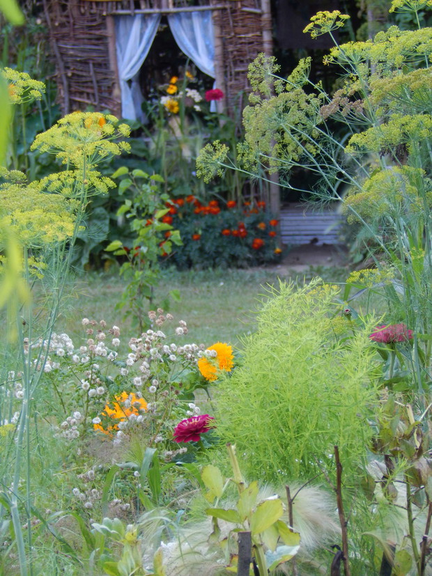 Muszę przyznać, że jest moim jednym z ulubionych obiektów do fotografowania...