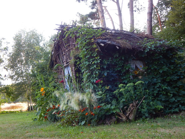 Na północnej i zachodniej ścianie posadziłam winobluszcz ...z myślą, że obrośnie chatkę by zakryć jej niedociągnięcia i mankamenty