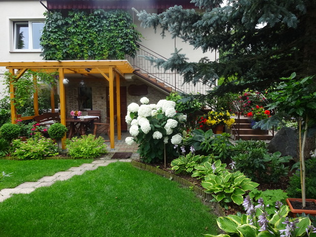 Nad altaną pnie się winobluszcz pięciolistkowy.