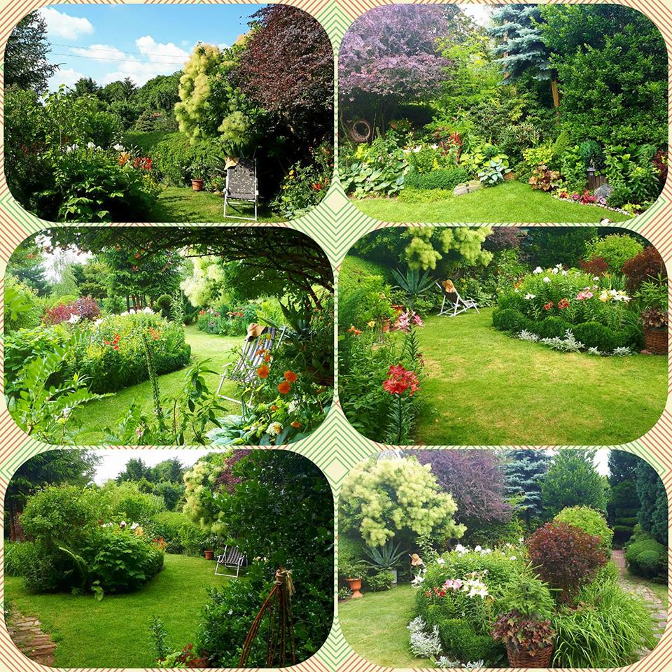 Nasza działeczka w 2017roku - jako amatorzy do tego co mamy doszliśmy metodą prób i błędów - były momenty zwątpienia i to nie raz - ale na chwile,wystarczylo się przespać - iść na dzialke i już w głowie zaczęło się kłębić mnóstwo nowych pomysłów.