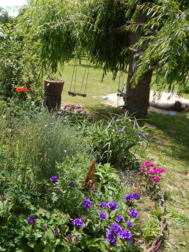 Obok tej rabatki wierzba z huśtawkami i drabinką dla dzieci...oraz piaskownica, którą okala powalony przez burzę pień z jabłonki