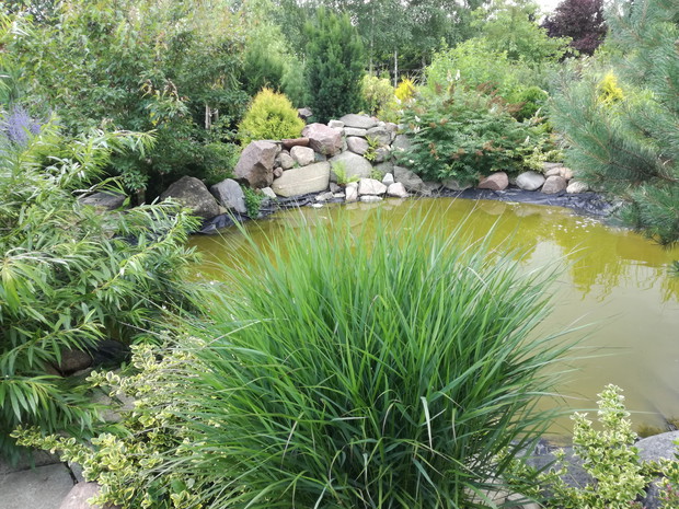 oczko wodne ze skalniakiem