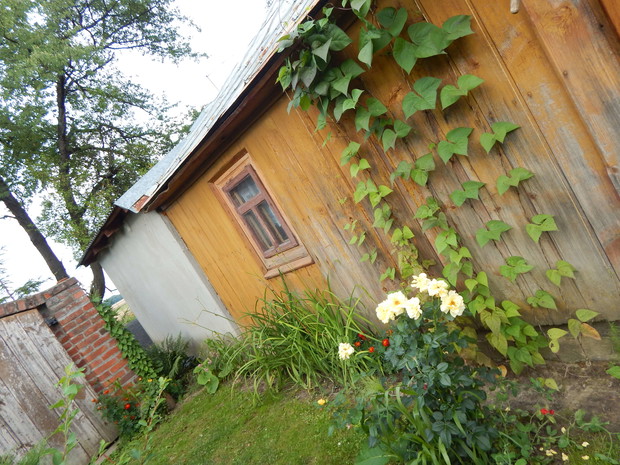 Od piwnicy taka ścieżka...