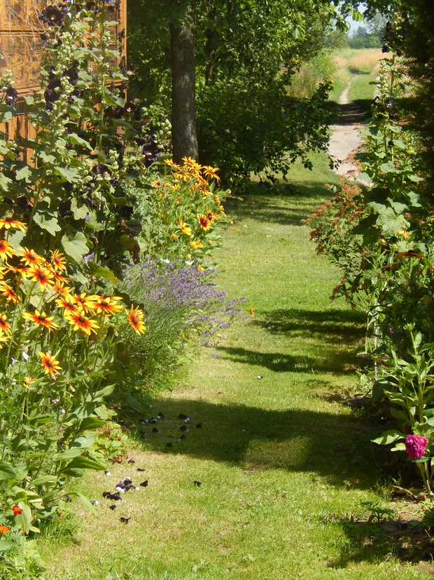 Oglądając się za siebie dostrzeżecie ulicę wjazdową...polną drogę -gdzie w pogodne lato miniecie staw, na którym gnieżdżą się dzikie kaczki a czapla podjada ryby...a zimą "diabeł mówi dobranoc..." :P