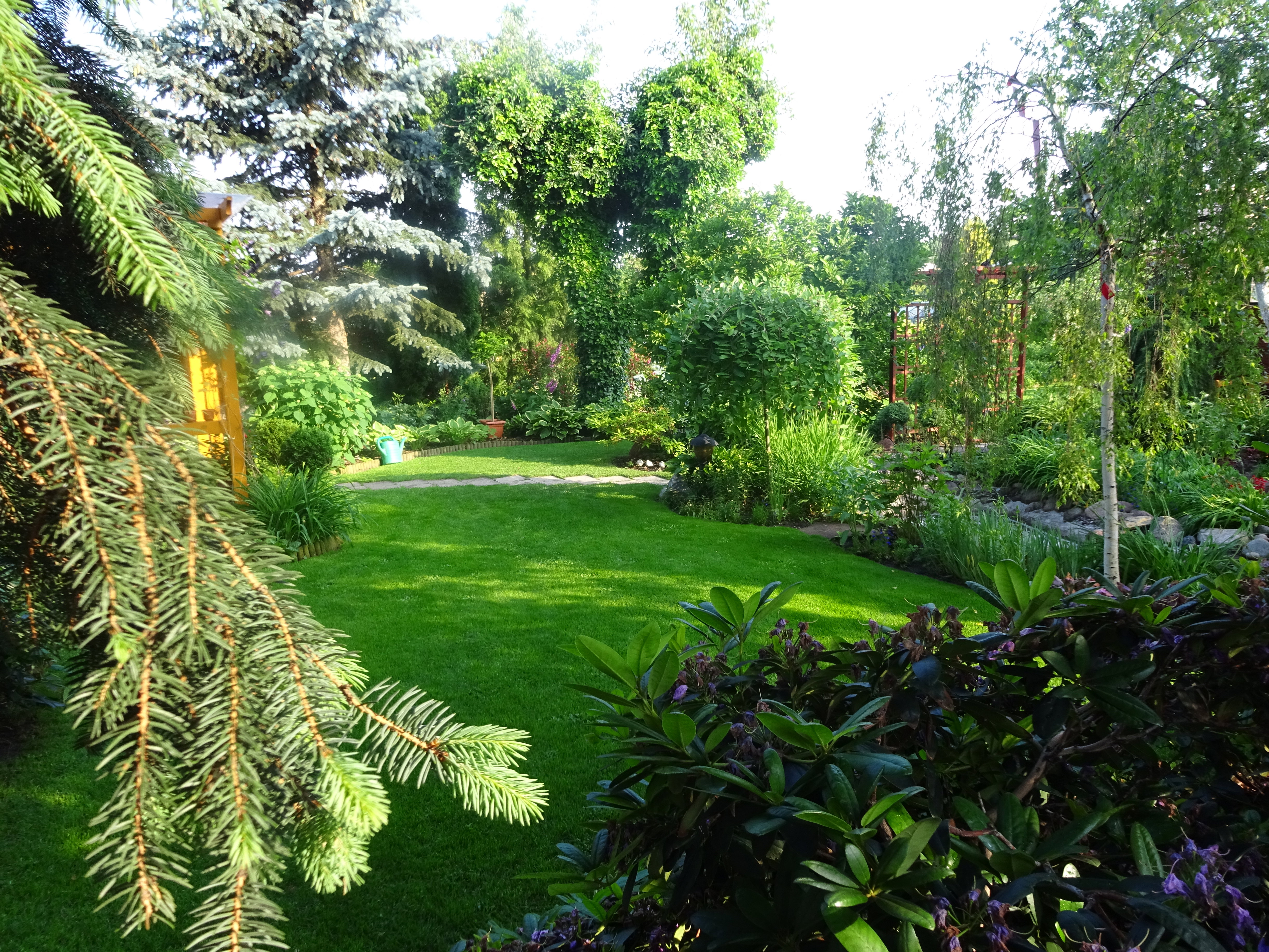 Ogród najpiękniej wygląda o poranku.