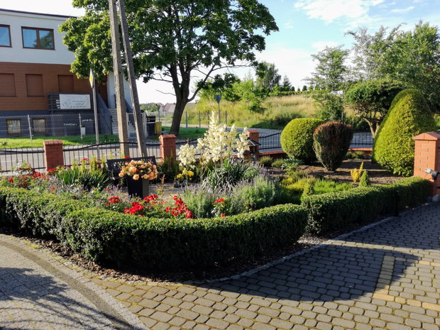 Ogród ozdobny przy podjeździe