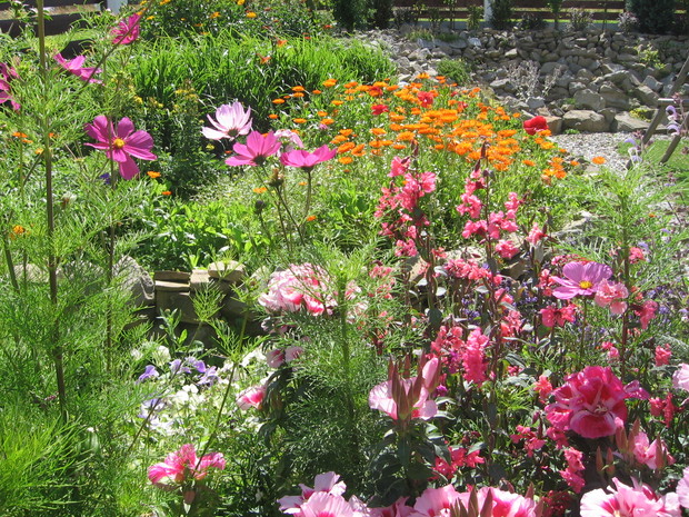 ogród skalny i rabatki 