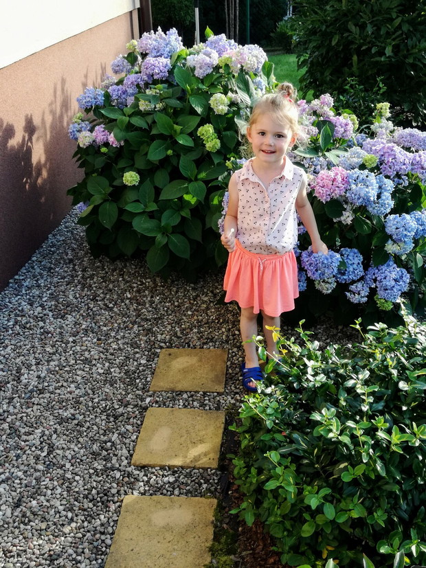 Ogrodowy mały pomocnik