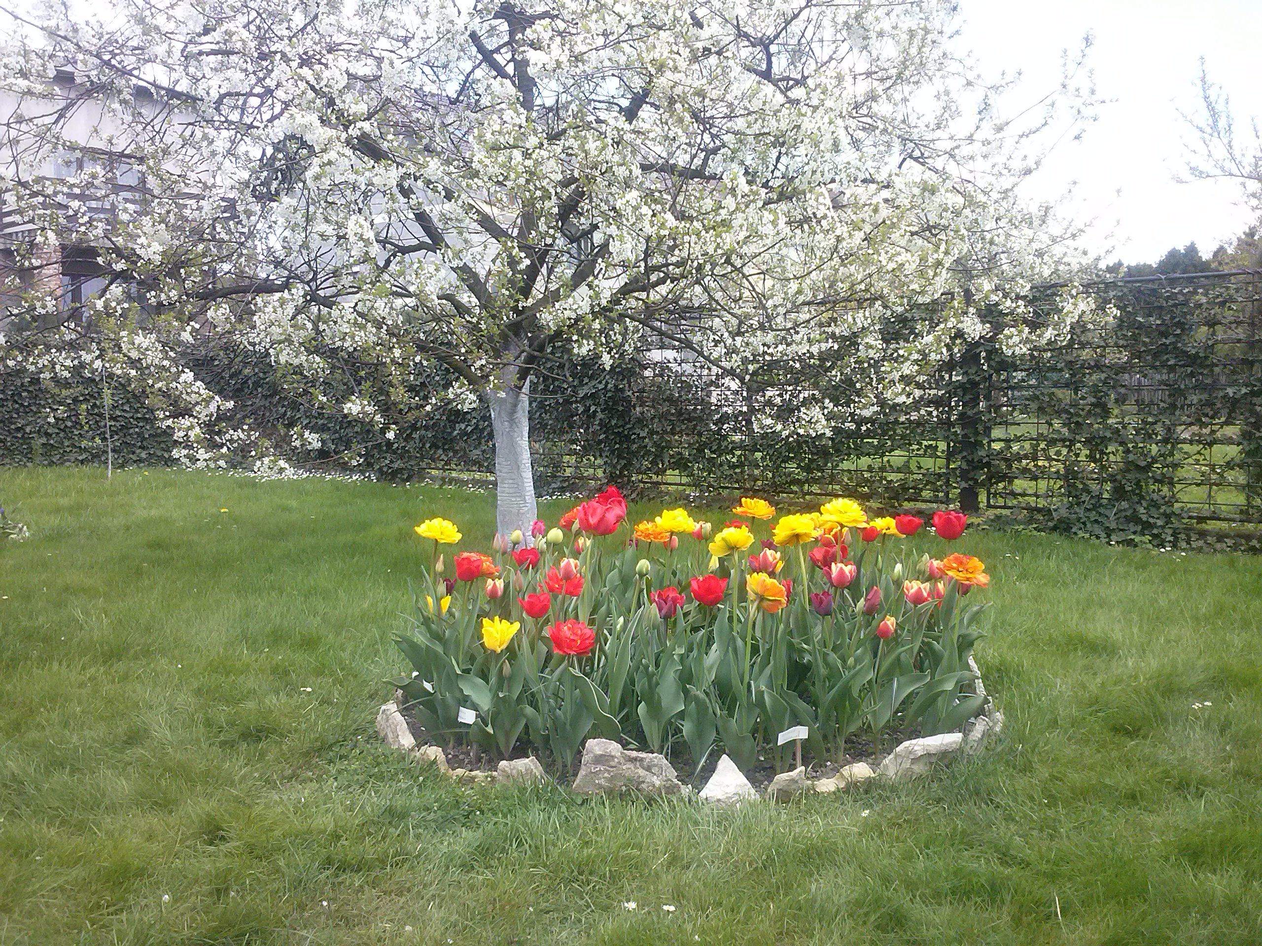 Pani Wiosna już zawitała