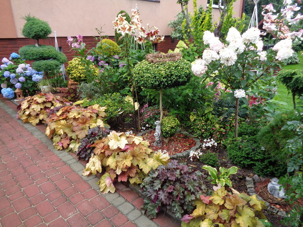 Piękno otacza nas każdego dnia w każdym miejscu i trudno mi sobie wyobrazić mój ogród bez tych pięknych żurawek.