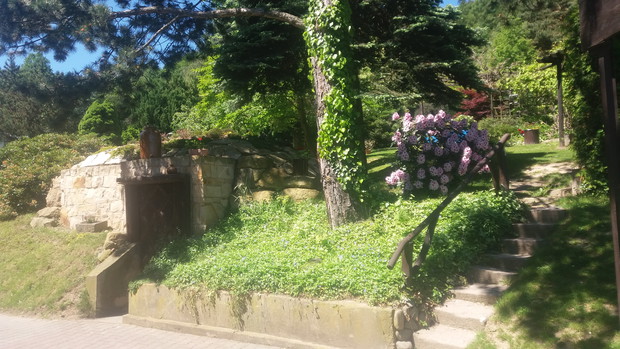 piwniczka na wino i przetwory