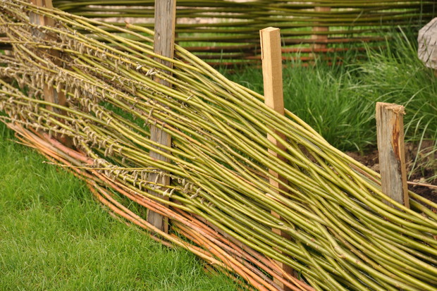 Płot z wikliny to ekologiczne i tanie rozwiązanie na stapiające się z otoczeniem ogrodzenie (zdj.: Fotolia.com)