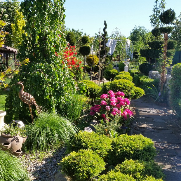 przejście na ogród