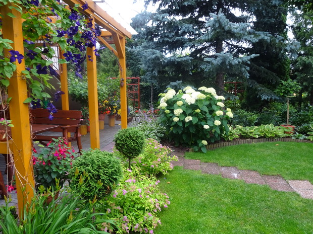 Przy altanie rosną tawułki i tuje szmaragdowe formowane na kulki.