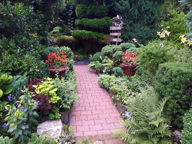 Ścieżka która zaprasza do wejścia.