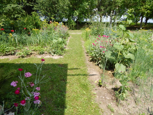Ścieżka między spichrzem a warzywniakiem