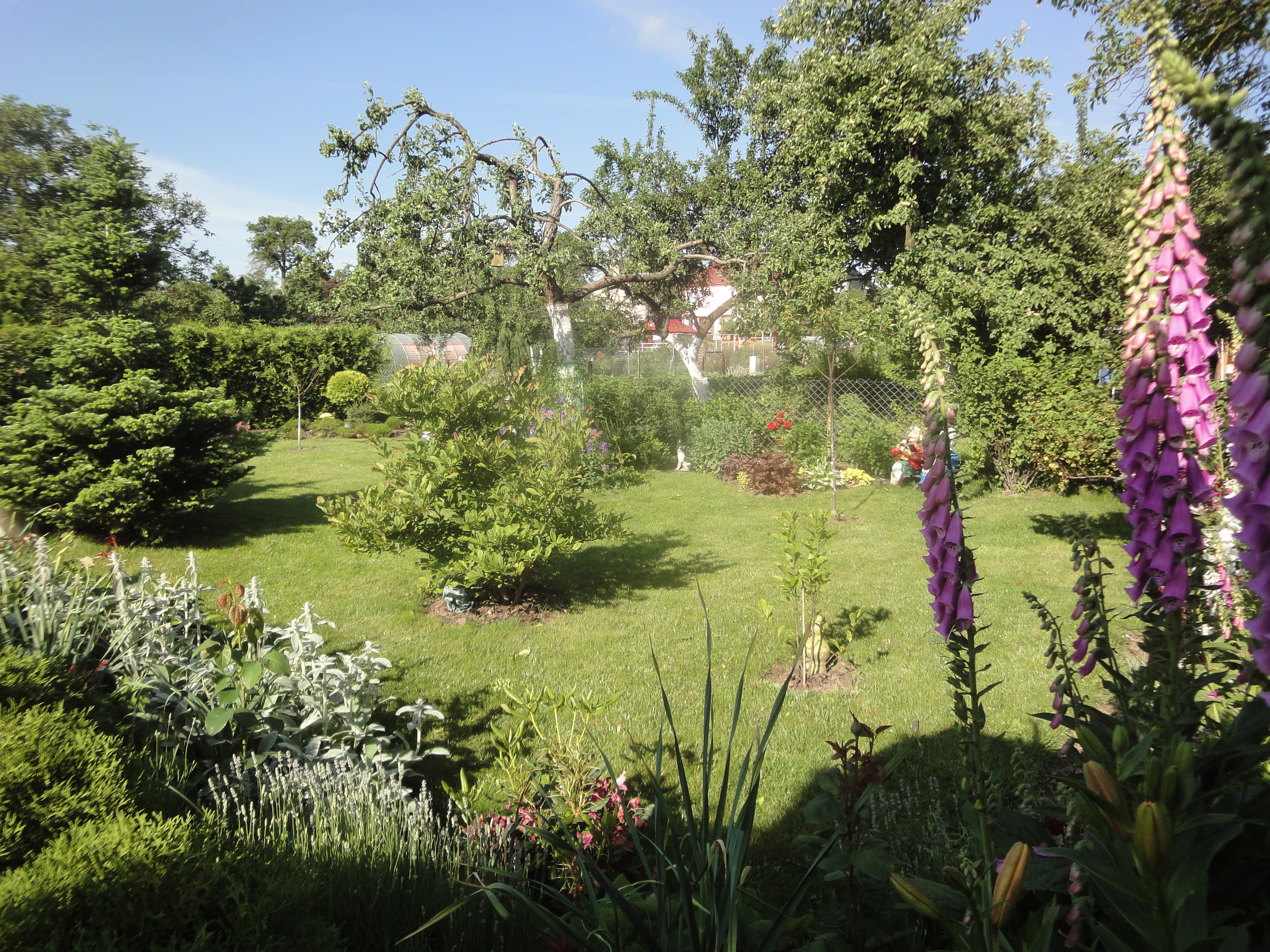 Siedząc na tarasie patrzę na widok ogólny mojej działki