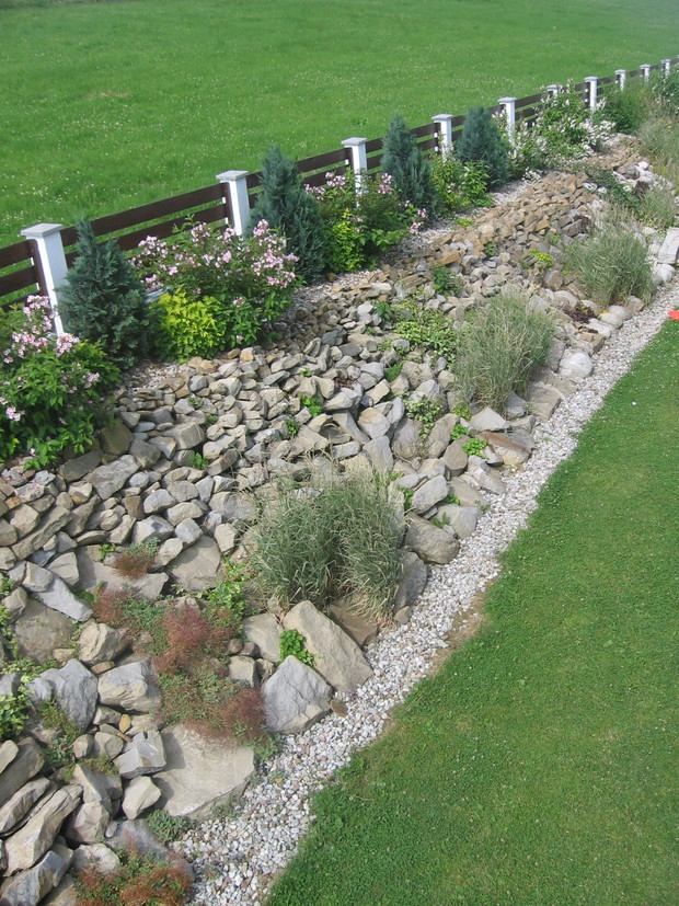 Skalniak - zagospodarowanie skarpy 