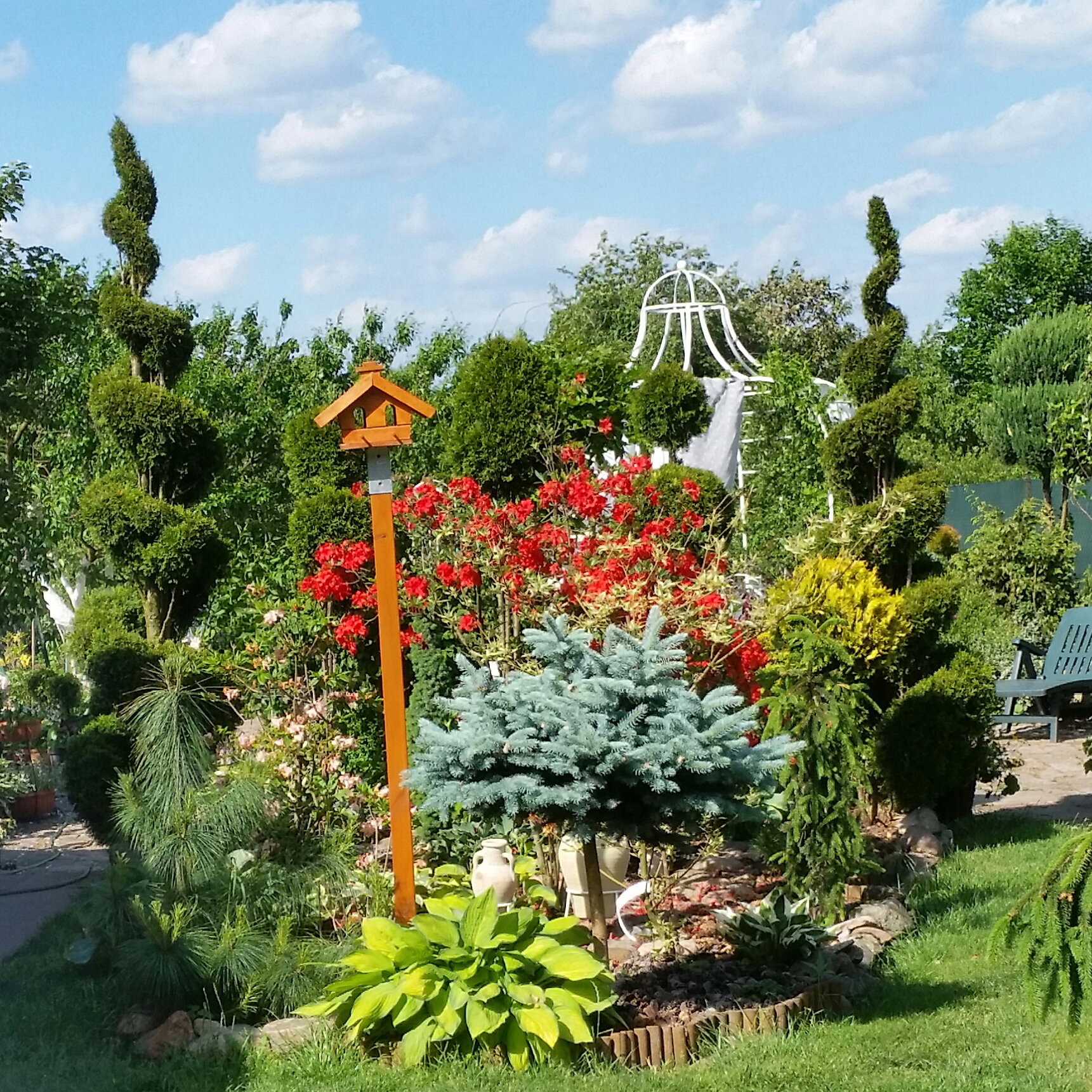 strzyżone szmaragdy