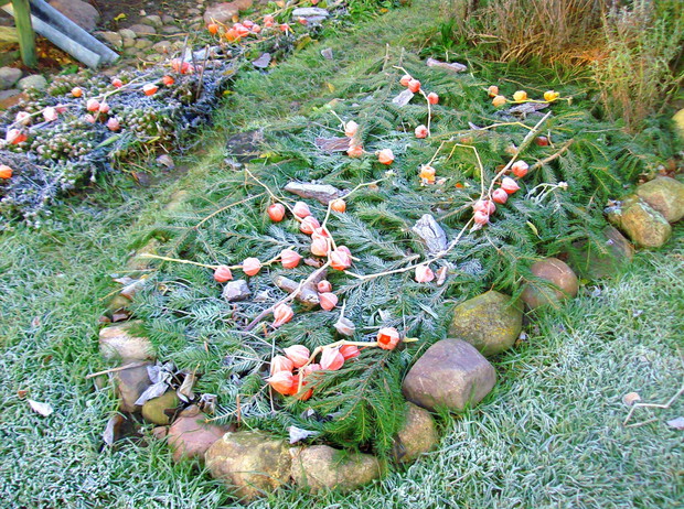 Tak w listopadzie wyglądają moje ocieplone na zimę grządki. Dzięki nim nie mam wrażenia,że zbliża się szaro-bura jesień.