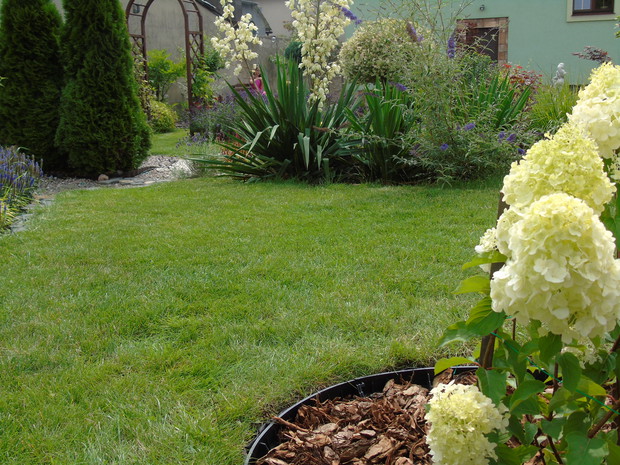 Trawnik - wizytówką mojego ogrodu.