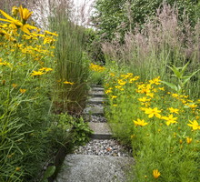 Trawy ozdobne również pasują do wzbogacania letnich rabat (zdj.: Shutterstock)