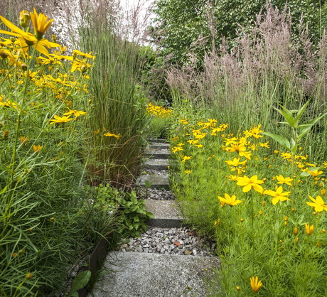 Trawy ozdobne również pasują do wzbogacania letnich rabat (zdj.: Shutterstock)