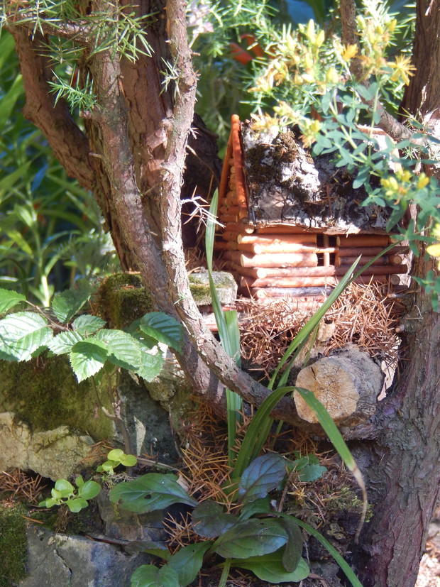 Tym małym akcentem pożegnam się i zapraszam do obejrzenia dalszych zdjęć...bez opisu tymczasem, ale może uda mi się jeszcze wygospodarować troszkę czasu i nadrobić to edytując... Pozdrawiam ;) 