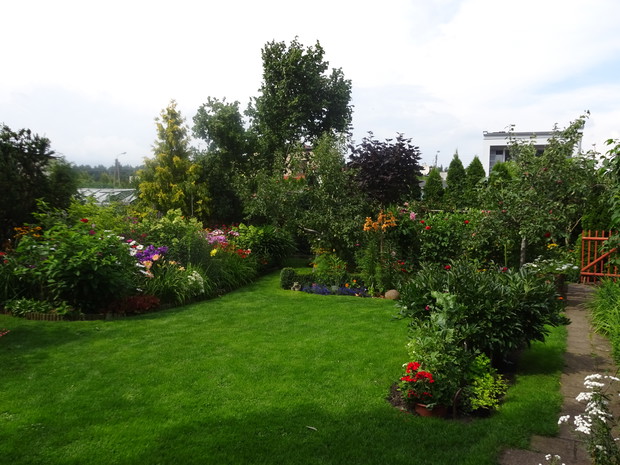 W narożniku działki rośnie leszczyna, było ich tu kiedyś kilka.