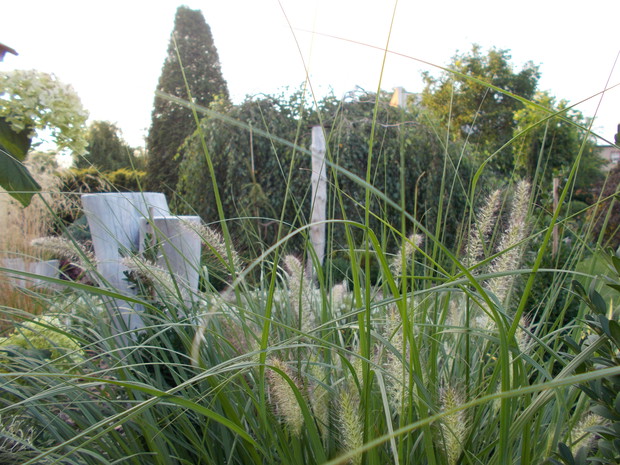 W ogrodzie nie brakuje traw ozdobnych tutaj jest Rozplenica japońska "Hammeln"